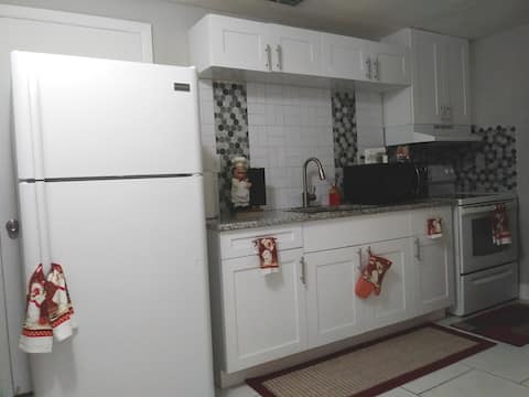 Successful Airbnb property: The 3 guest tiny apartment in North Tampa