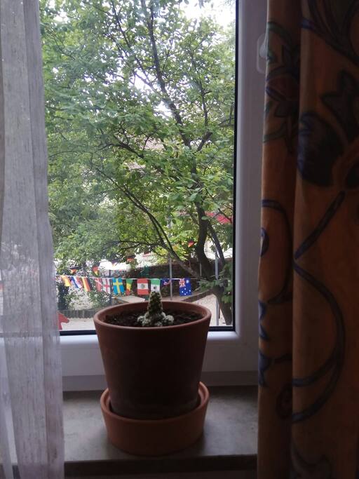 the window you have ,and the view