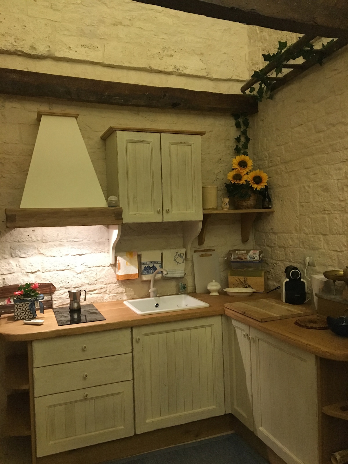 Leistungsstarkes Airbnb: The Trullo La Vecchia Bottega in Alberobello