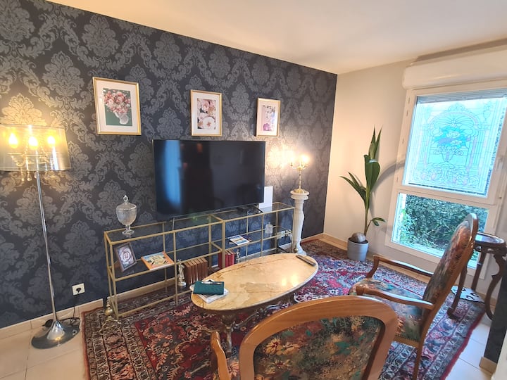 55 - инчов телевизор, Netflix и Disney + безплатен