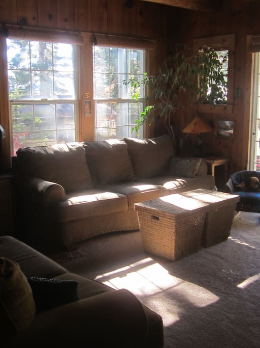 Cozy Living Room