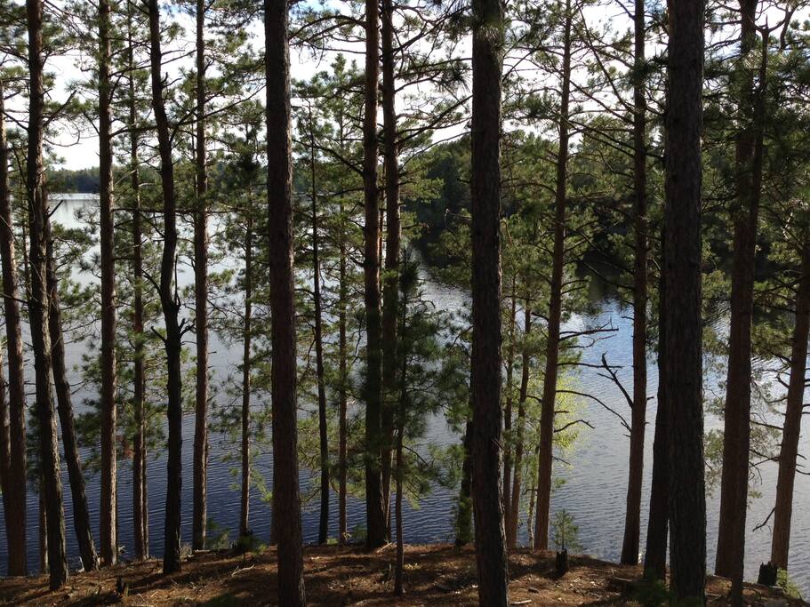 Summer view from back deck