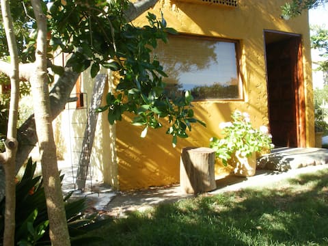 Airbnb con mejor rendimiento: SEA FRONT ON A WHITE SAND BEACH! en Canelones