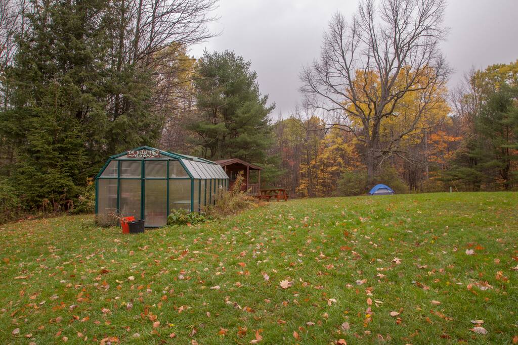 Camp Green House