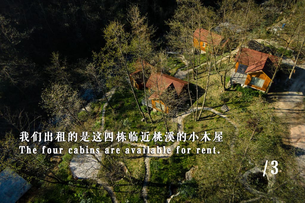 我们拿出来分享的是这4栋小木屋,临近桃溪,背后是我们私家的绿地景观。