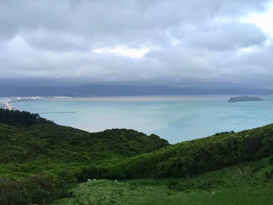 View