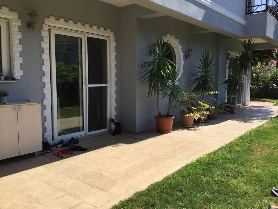 Kitchen door to the garden