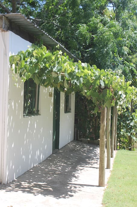 In the garden