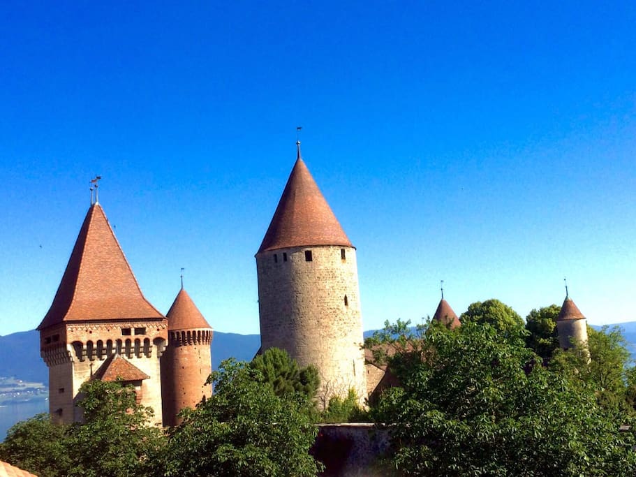 Vue sur le Château de Chenaux