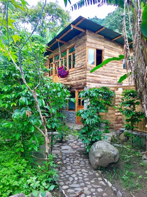 garden view, patio and path to the accommodation