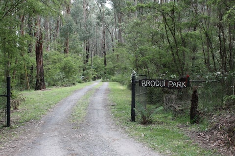 Brogui magical bushland retreat
