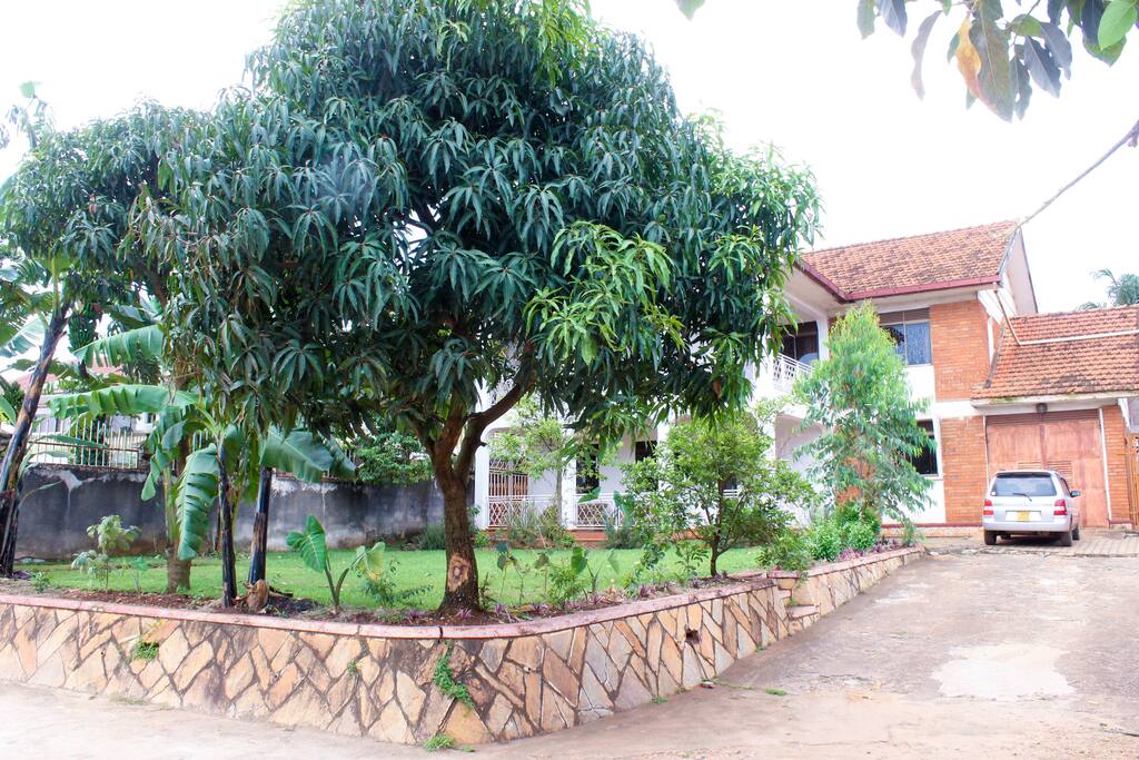 The outdoor space