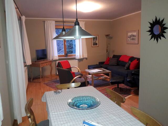 Haus In Sonnenlage Grosser Balkon Houses For Rent In Golling An