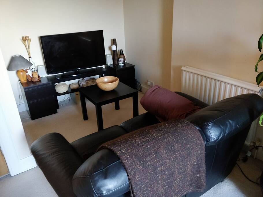 The TV Viewing area.
