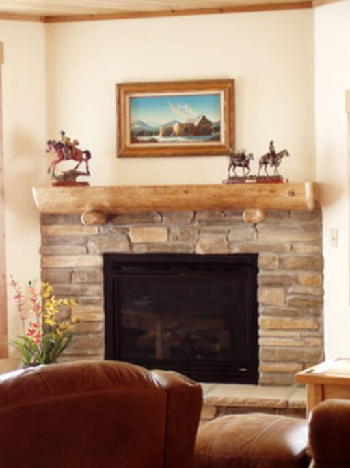 Propane fireplace