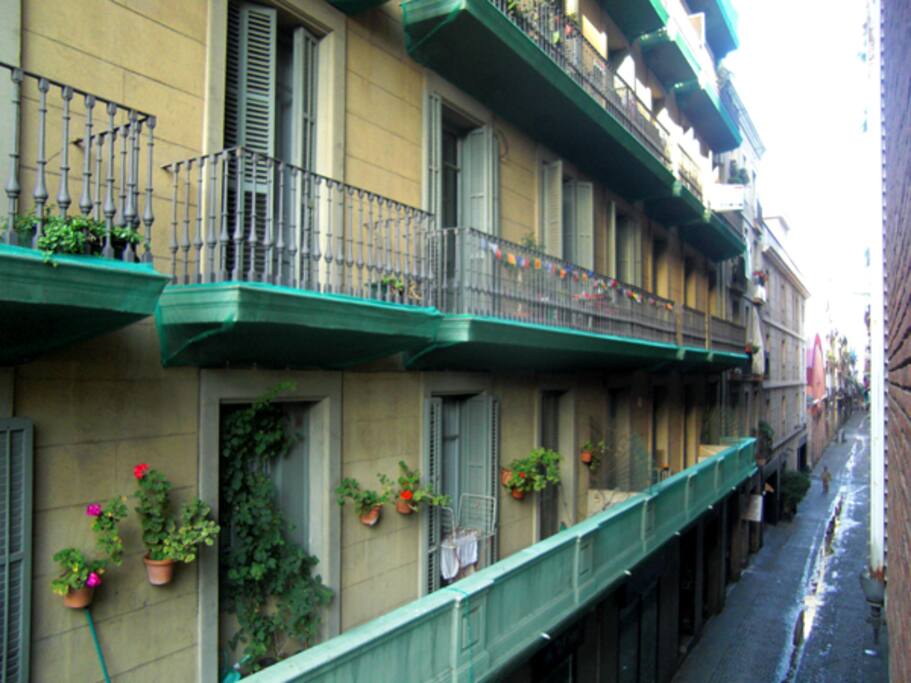 Neighborhood from terrace