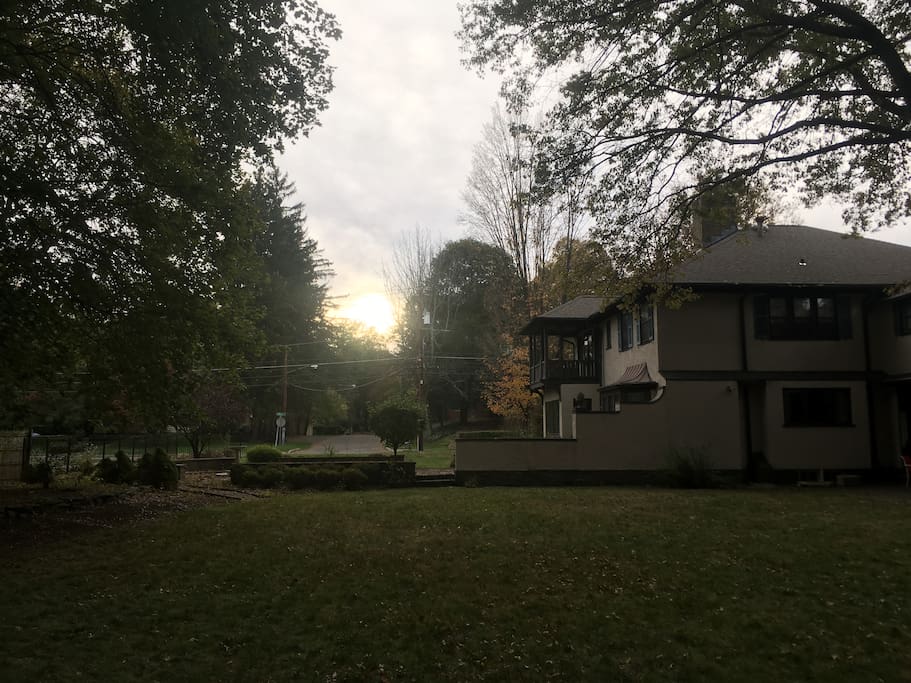 Backyard