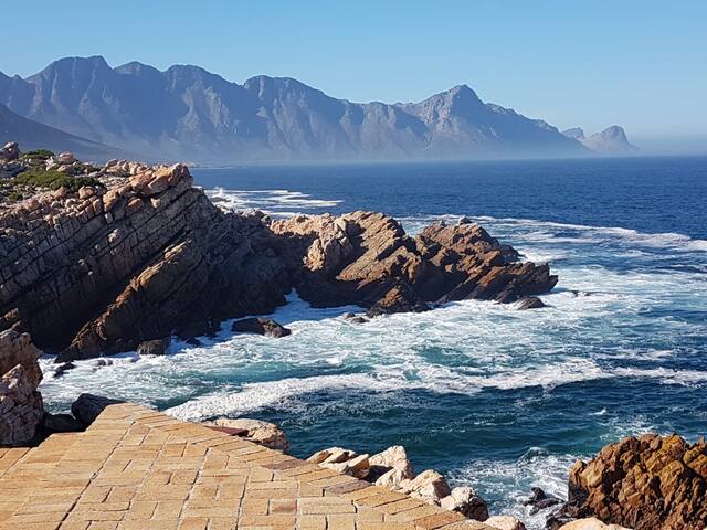 Exclusive Monkey Rock Dolphin and Whale Outlook gallery image 2