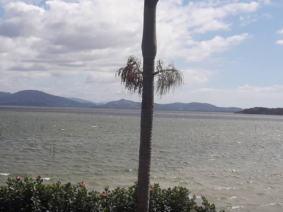 Vista do café