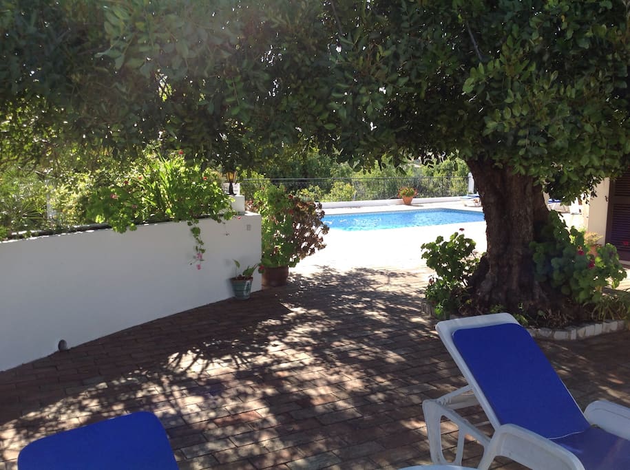 View of pool