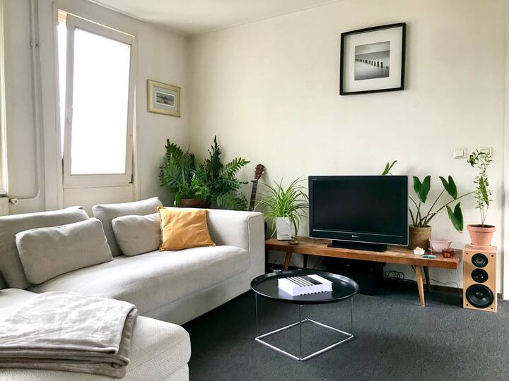 Bright and cosy loft Haarlem city center Apartments for Rent in
