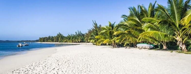 A serene beach scene features soft white sand bordered by lush palm trees swaying gently in the breeze. Calm waters extend into the distance, with small boats anchored nearby, offering a tranquil atmosphere for relaxation.