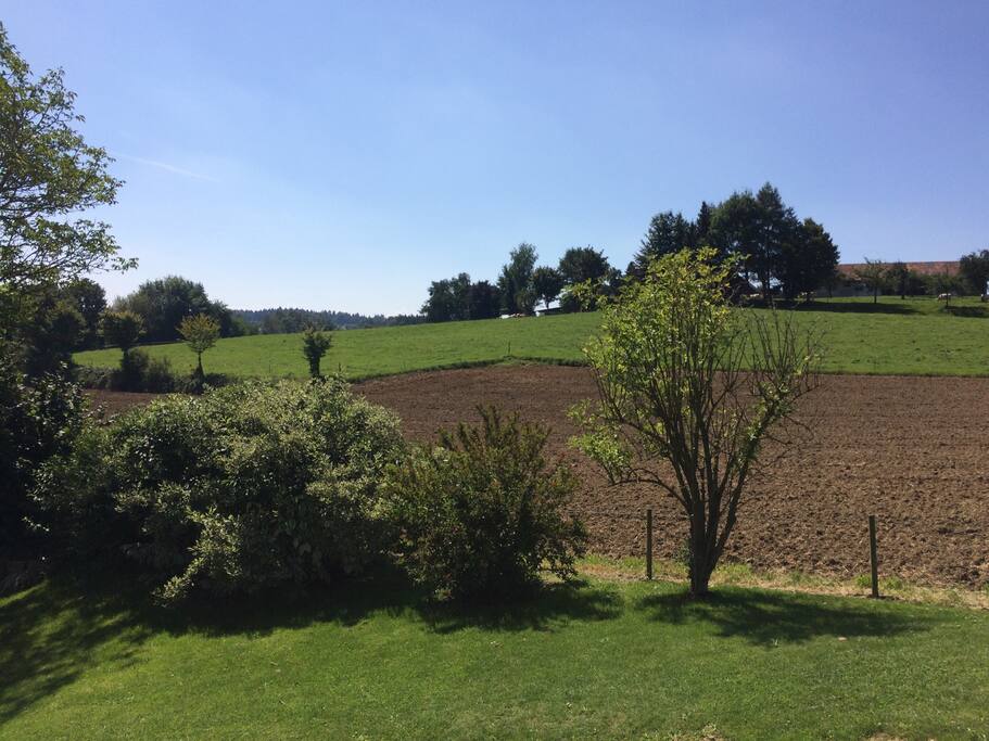 Natur Pur - Erholung im Grünen