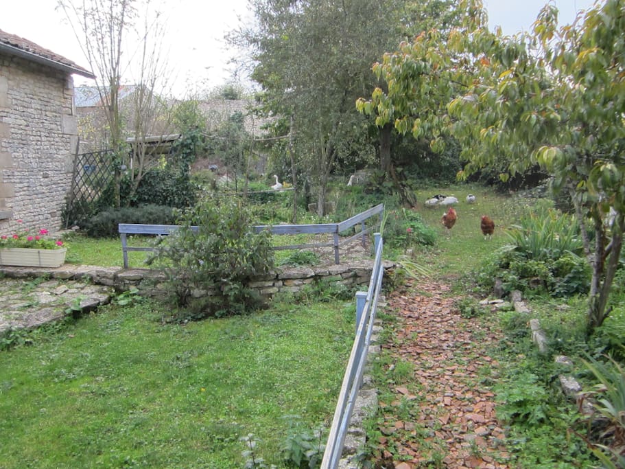 terrasse et jardinet
