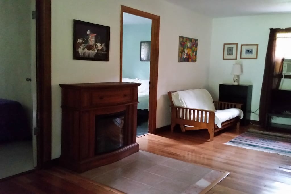 Electric fireplace, new TV,