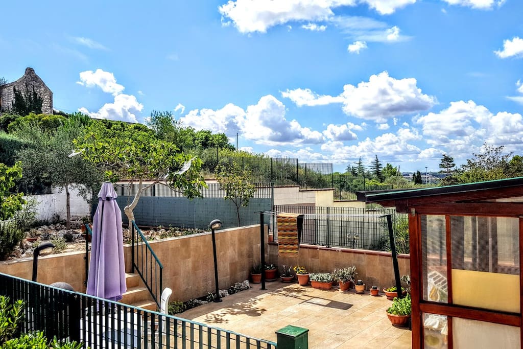Il giardino e il gazebo