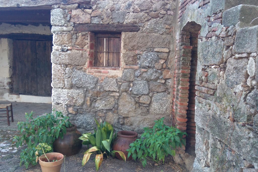 Detalle patio jardín