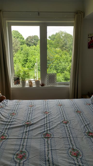 King bed next to window with lovely green view!