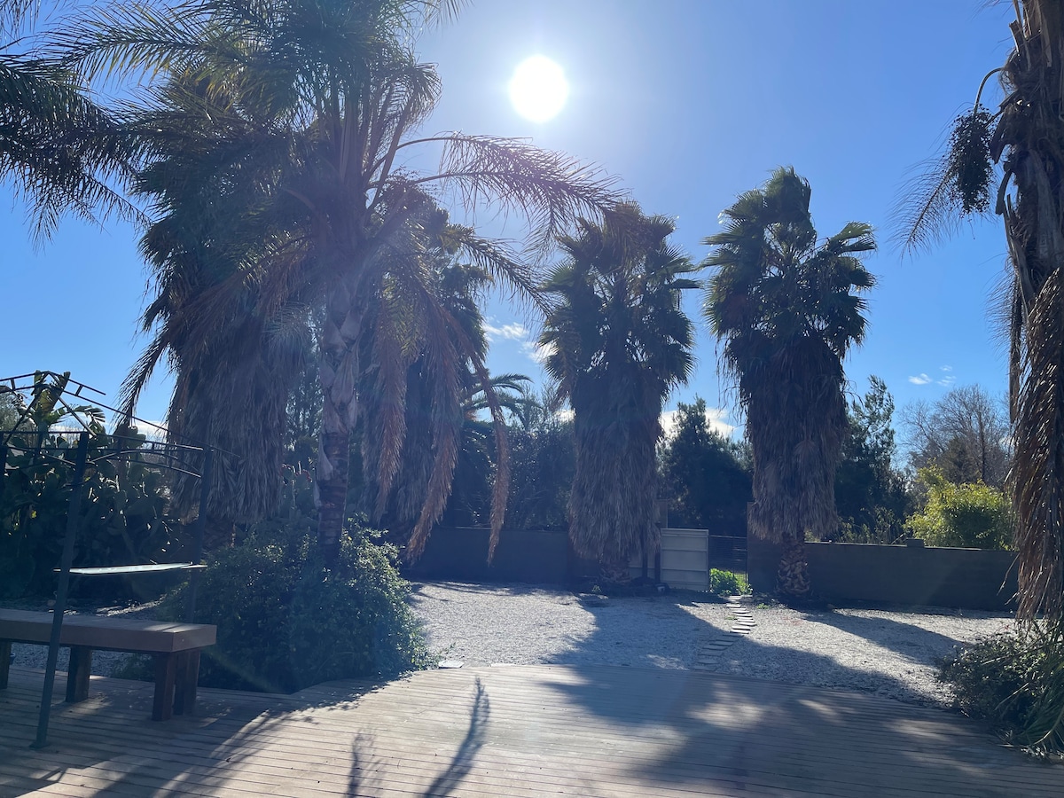 A sunlit outdoor area is showcased, featuring tall palm trees that provide a tropical feel. A wooden deck is visible in the foreground, with a gravel pathway leading towards a lush backdrop of greenery and hedges. Clear blue skies enhance the serene atmosphere.