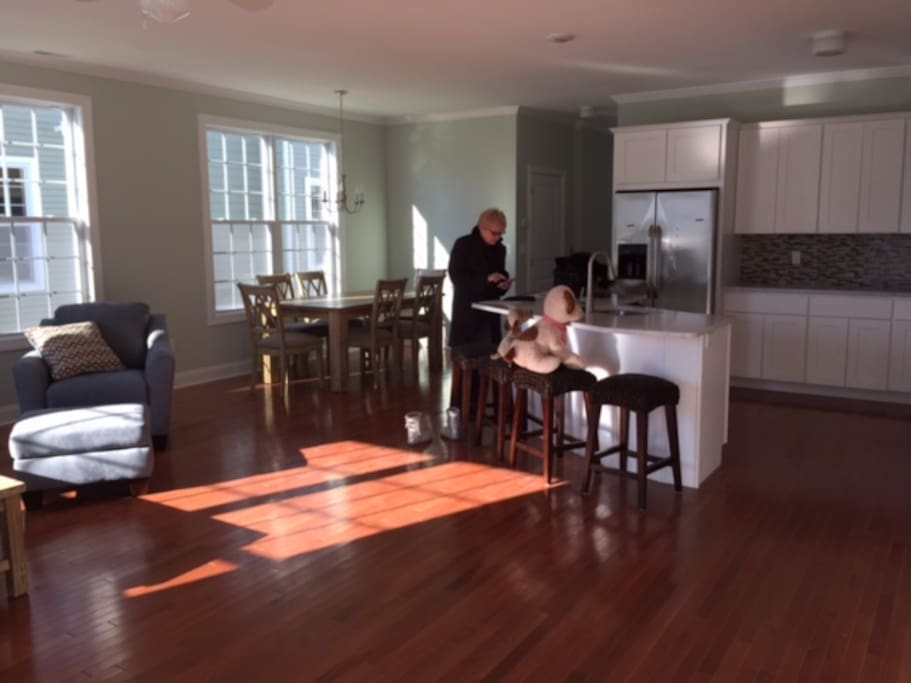 Living Room / Dining and Kitchen