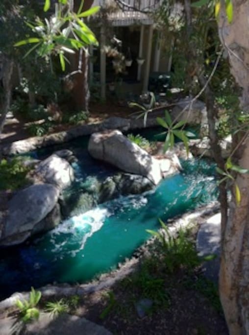 view of the creek below from the deck, ducks come and swim and visit!