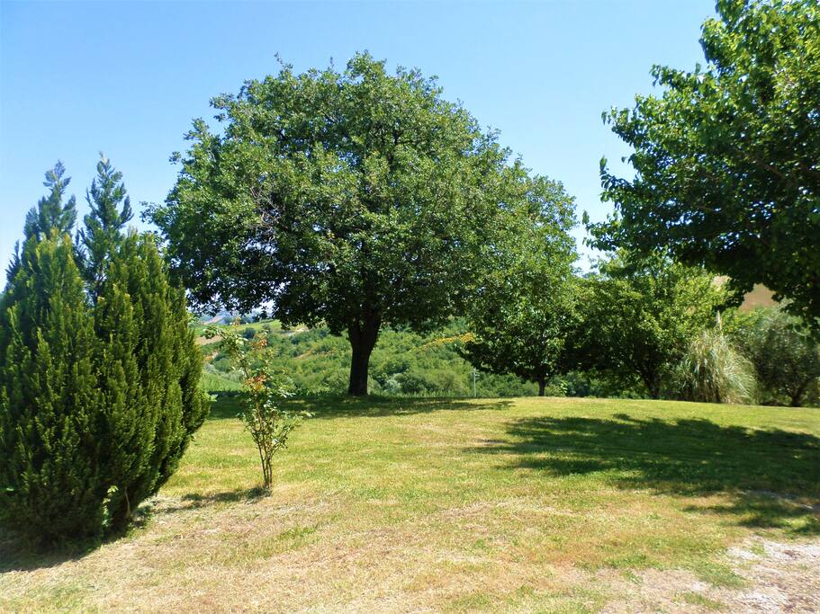 Giardino