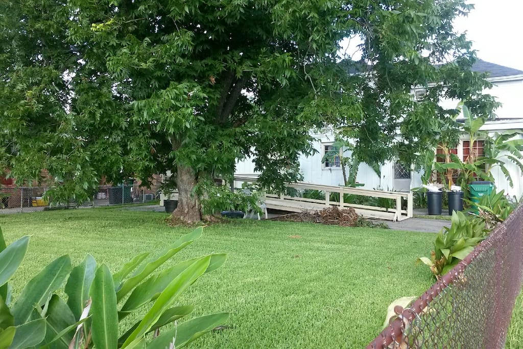 Large Fenced Yard