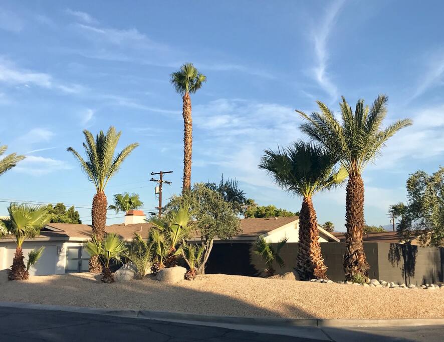 Corner Lot with Privacy