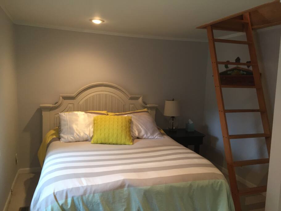 Downstairs bedroom