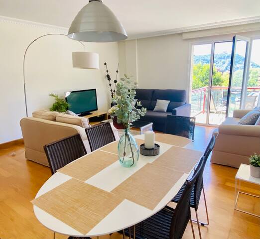 Apartamento Pío Baroja – (Wifi-Parking) ESS02526 gallery image 3