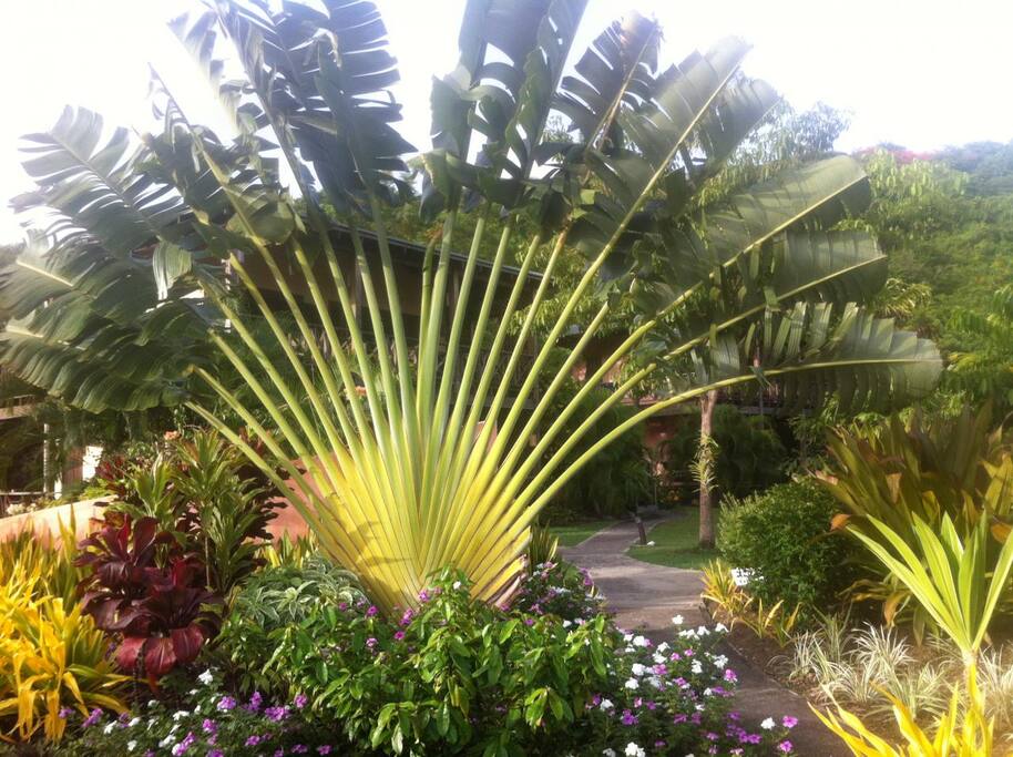 Vacances en pleine nature