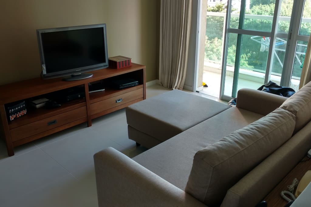 Living room: sofa and TV