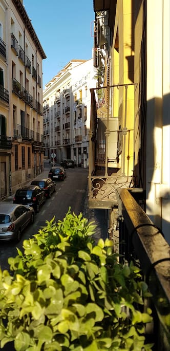 Balcony view - Live a typical Madrid neighbourhood