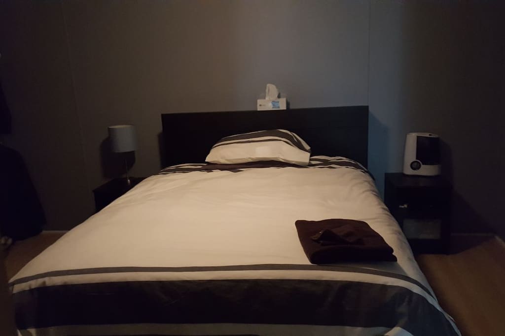 Master bedroom from the door