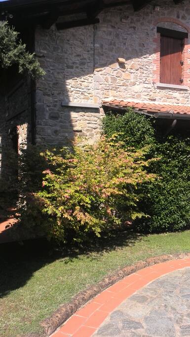 Il giardino