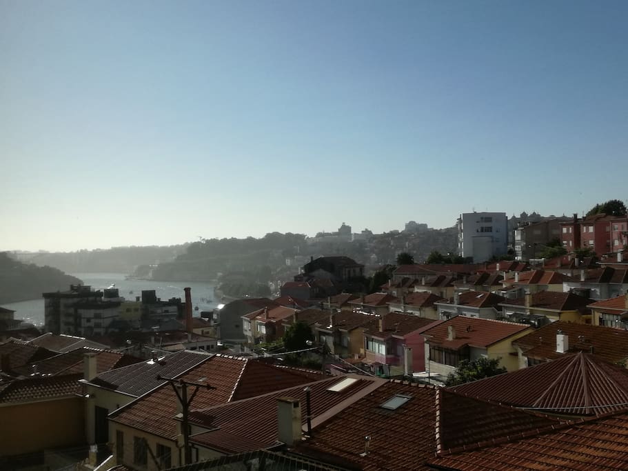 The view from the room