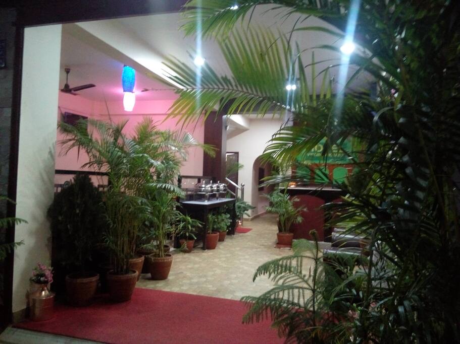 Garden