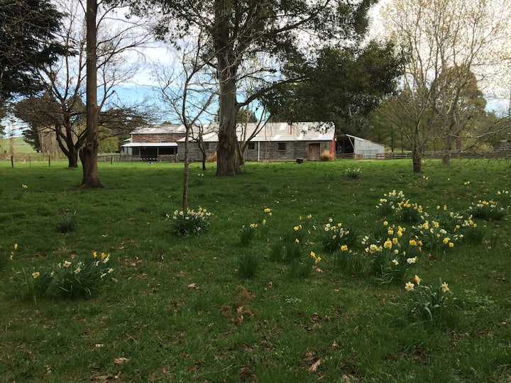 North Mavora Lake Holiday Rentals Homes Southland New Zealand Airbnb