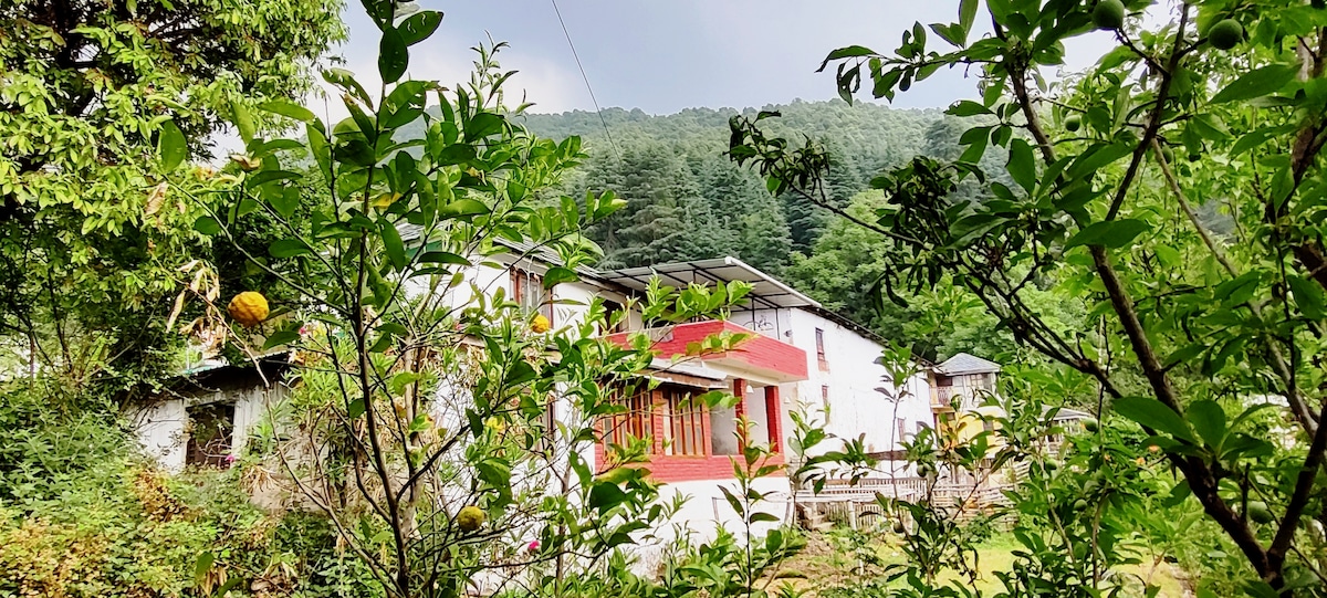 A charming vintage house is visible through lush foliage, nestled in a mountainous area. Solar panels can be seen on the roof, while large windows reflect the greenery of the surrounding trees. The landscape showcases the natural beauty of the foothills.
