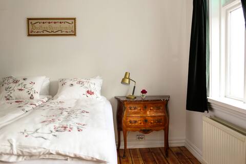 Best location in the city,close to Hallgrimschurch